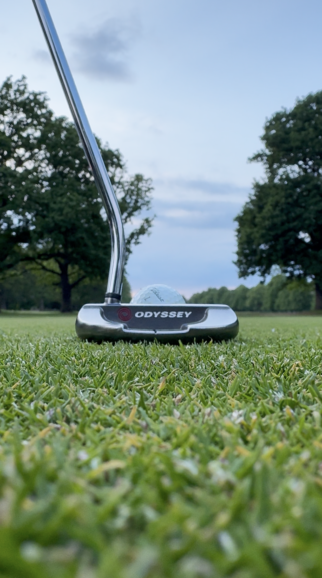 GreenReadr putting aid